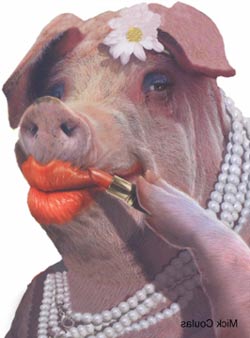 lipstick-pig-illustration.jpg
